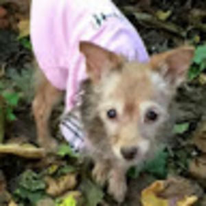 Meet your Posher, Fredicia